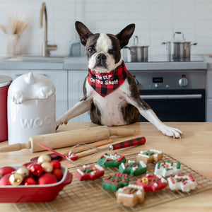 Sn-ugly Sweater Cookies | Christmas Pre-Packaged