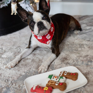 The Ho Ho Herd | Christmas Pre-Packaged