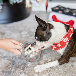 Nice Bites vs Naughty Nibbles | Christmas Pre-Packaged