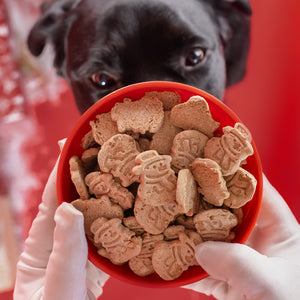 Frost Bites | Christmas Pre-Packaged