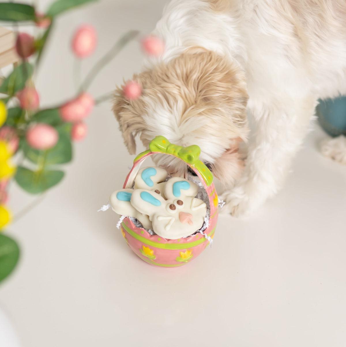Mr. Hopper & Mrs. Flopper | Easter