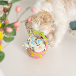 Mr. Hopper & Mrs. Flopper | Easter