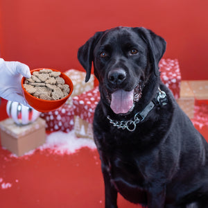 Frost Bites | Christmas Pre-Packaged