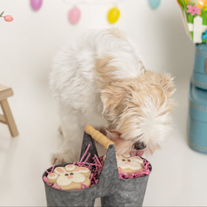 Thumper Tracks | Easter