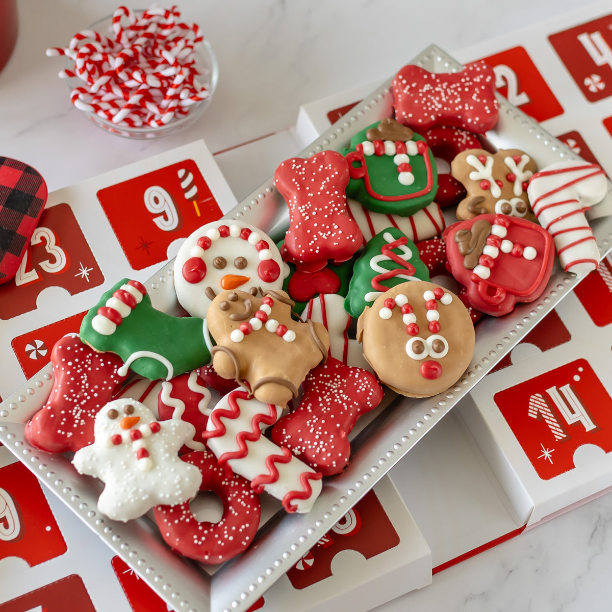 Premium Musical Advent | Candy Cane Calendar for Dogs (case)