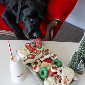 The Paw-some Pair | Christmas