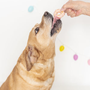 Hoppy Rings | Easter