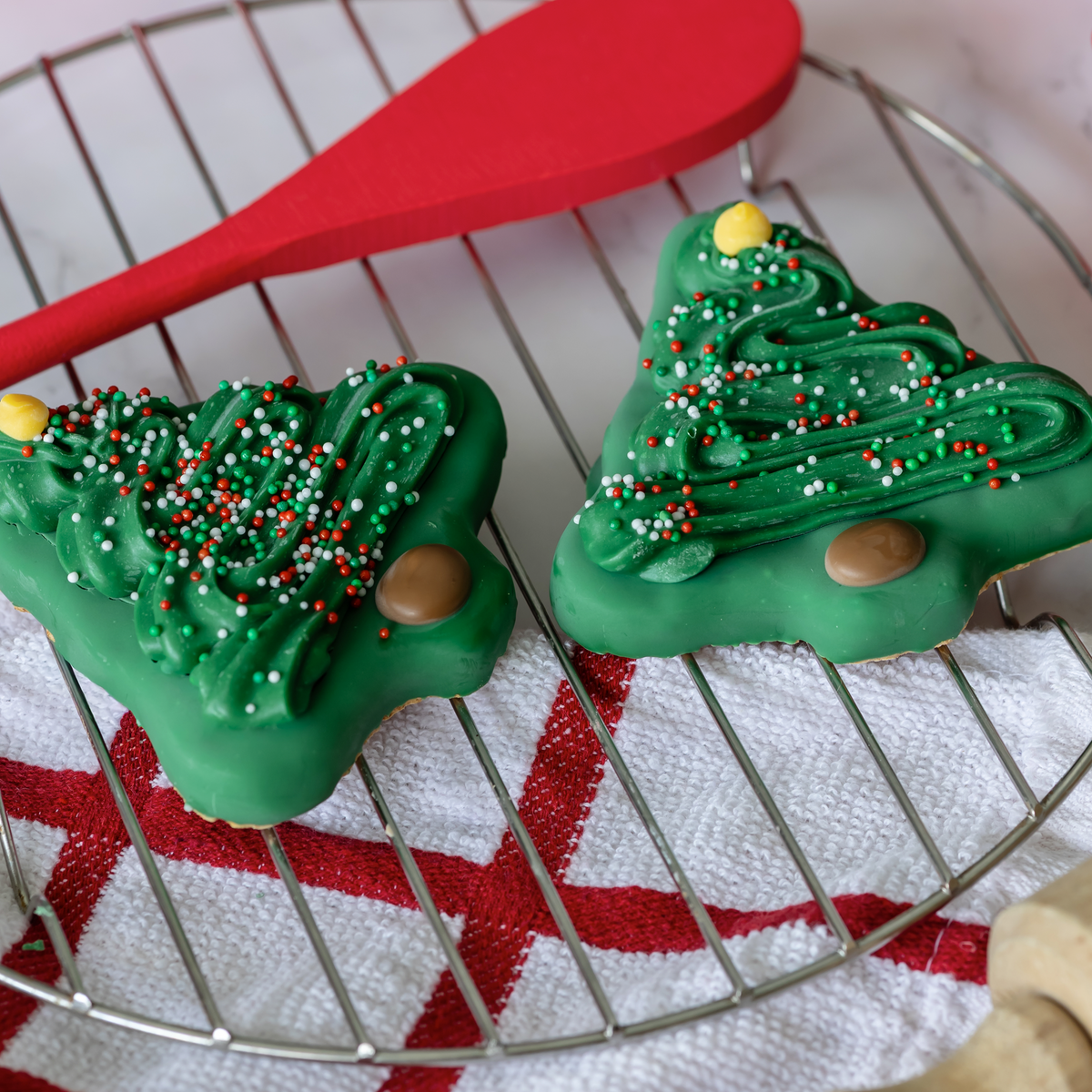 Bosco & Roxy's | Christmas 2026 | Fabulous Fir | 18/case