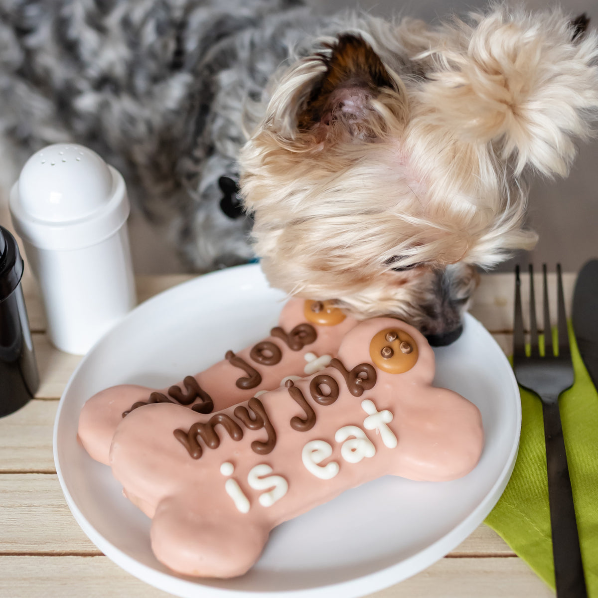 My Job is Eat Bone | Natural Dog Thoughts