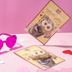 Fur-Ever Valentine Pack | Valentine's Day