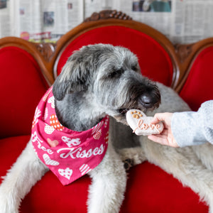 Love Hearts | Valentine's Day