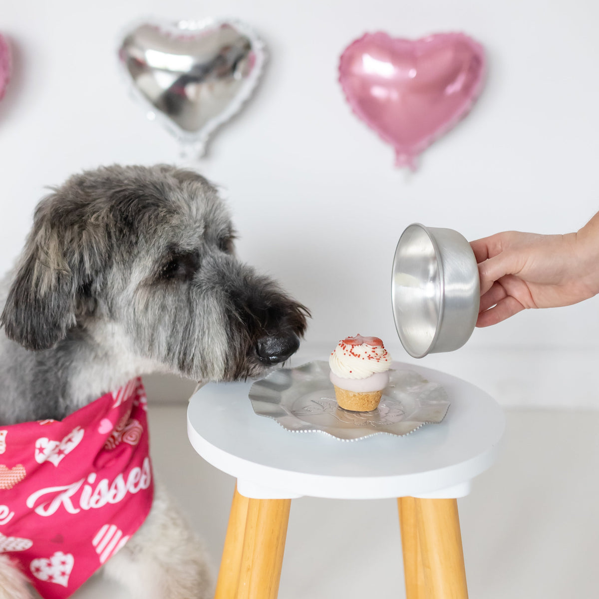 Heart Felt Pup-cake | Valentine's Day