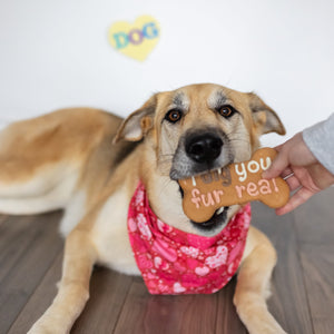 I Dig You Fur Real | Valentine's Day