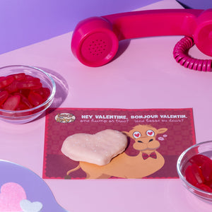 Fur-Ever Valentine Pack | Valentine's Day