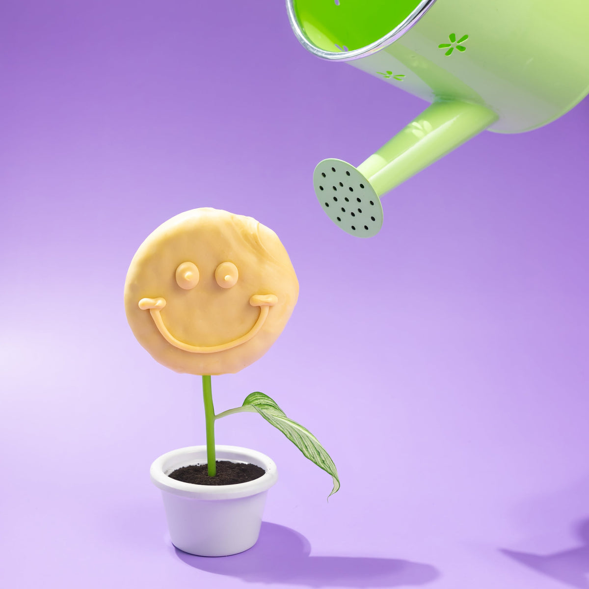 Smiles in Bloom | Smile into Spring
