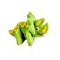 Prepackaged Build Your Own Triceratops