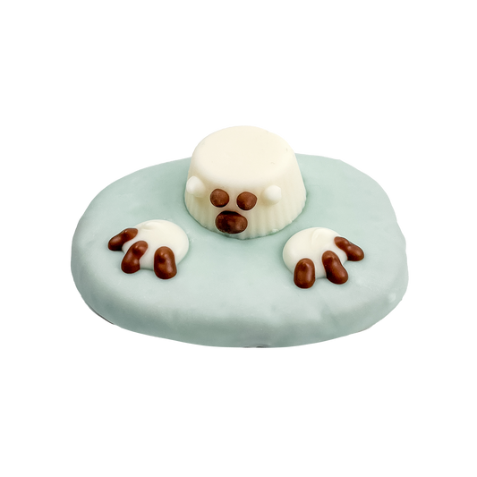 Glacier Glider  | Winter