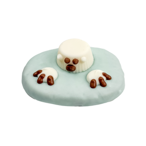 Glacier Glider  | Winter