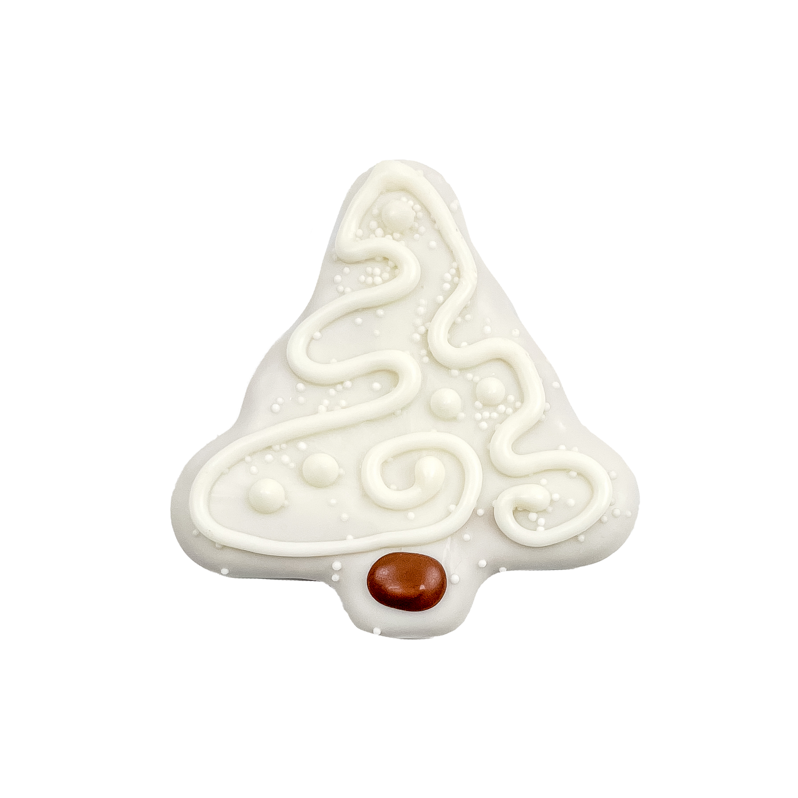 Snow-Kissed Pine | Winter