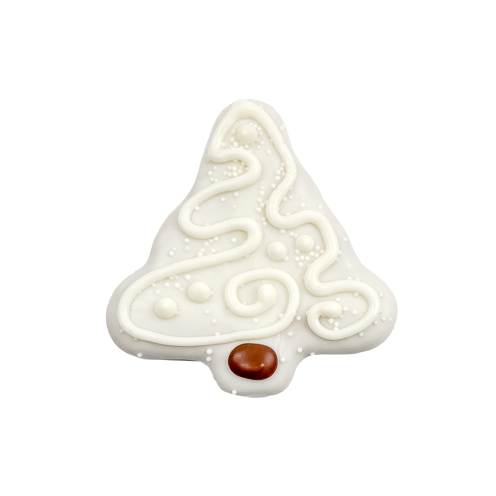 Snow-Kissed Pine | Winter