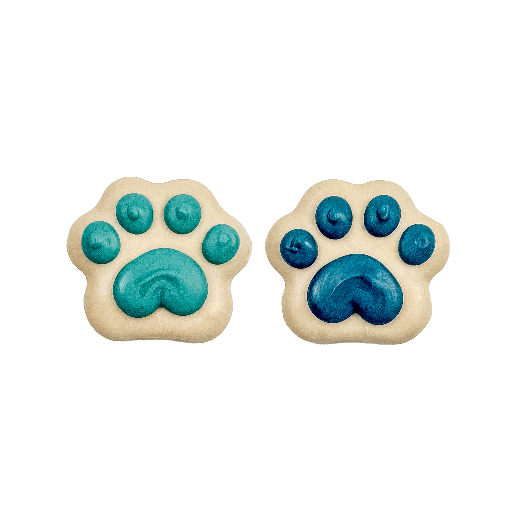 Paw Prints in the Snow | Winter