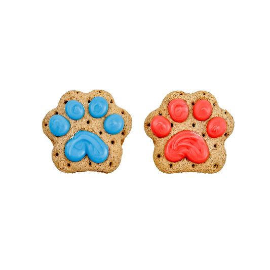 Let the Paw-nanigans Begin! | Birthday
