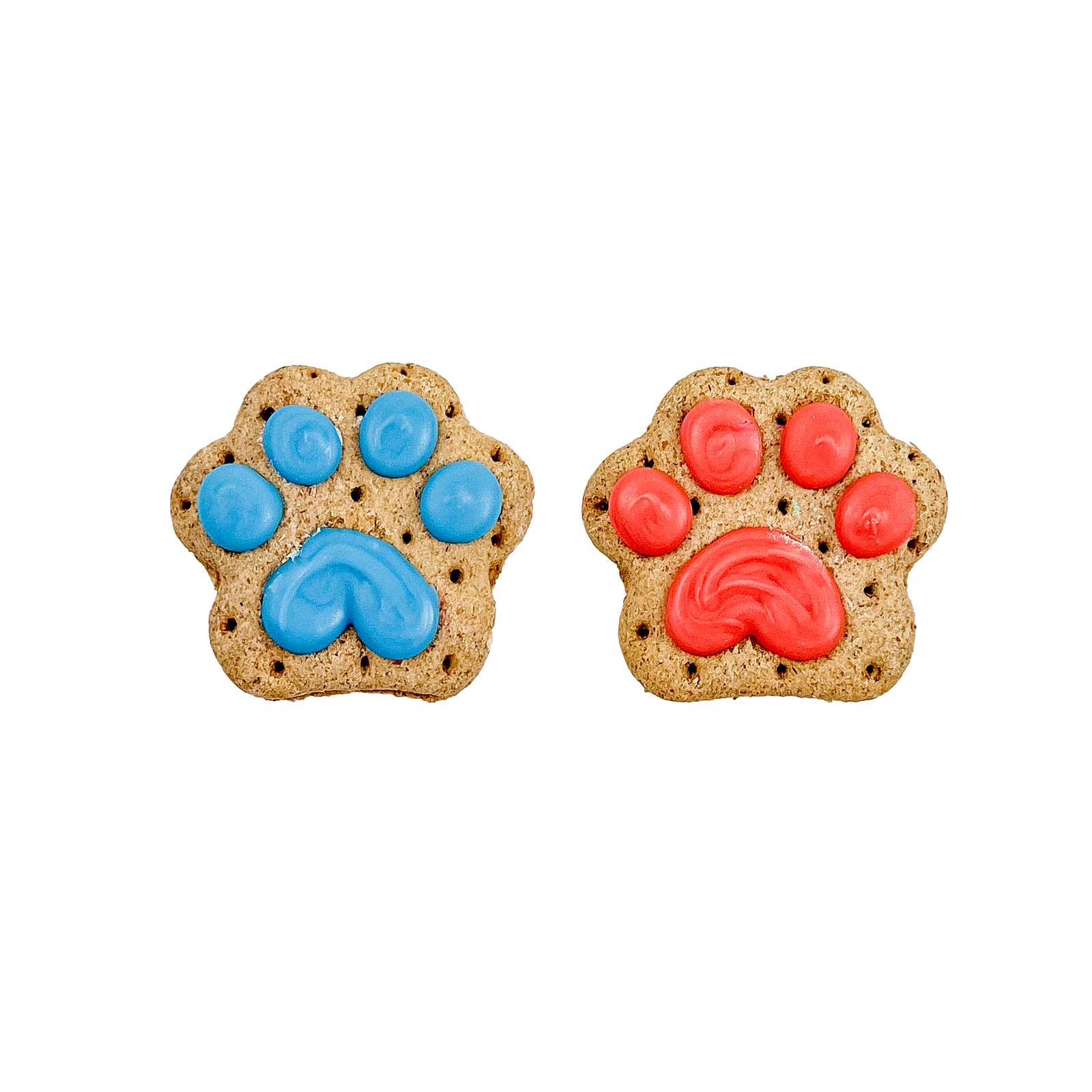 Let the Paw-nanigans Begin! | Birthday