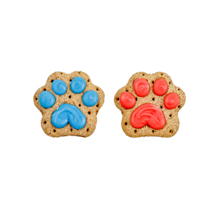 Let the Paw-nanigans Begin! | Birthday