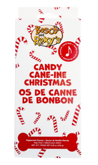 Candy Cane-ine Christmas Singing Card Box | Christmas Pre-Packaged
