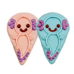 Sir-Smiles-a-Lotl | Smile into Spring