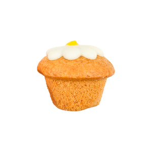 Daisy Cupcake | Spring