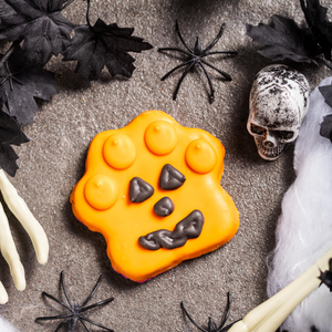 NATURAL The Ghoul Squad | Halloween