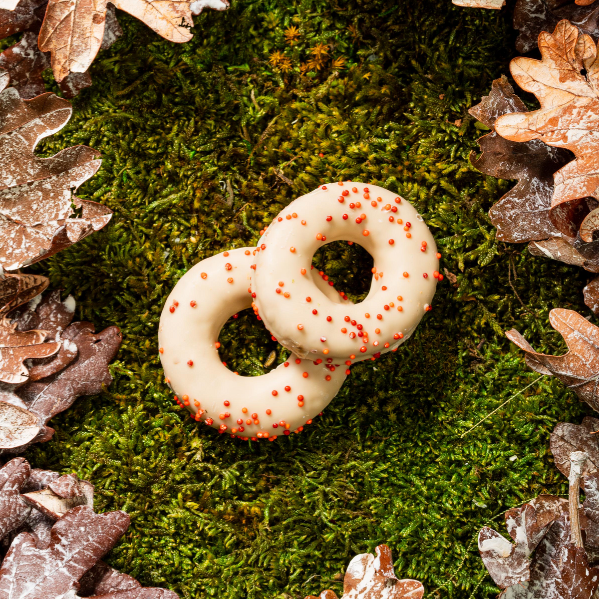 Harvest Moon Donuts | Fall
