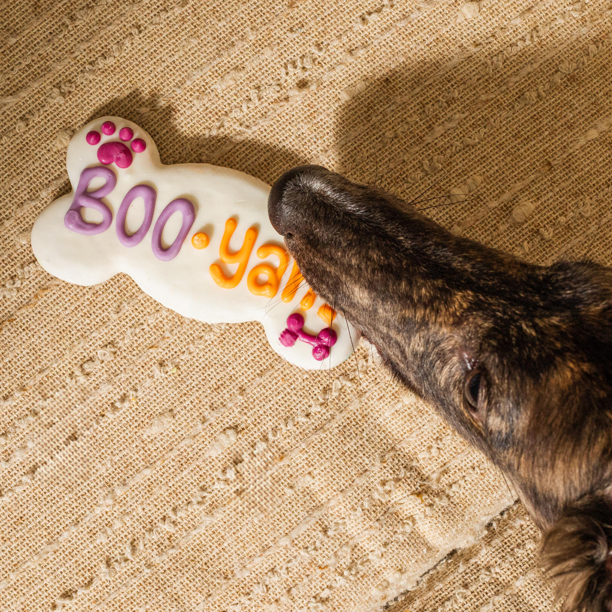NATURAL BOO-yah! Bone | Halloween