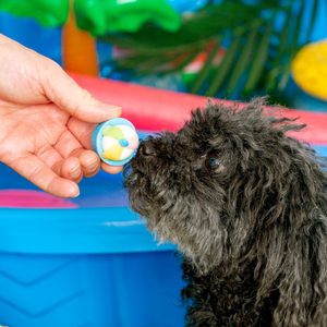 Cannon-ballin' Treat Cups | Summer Pool Pawty