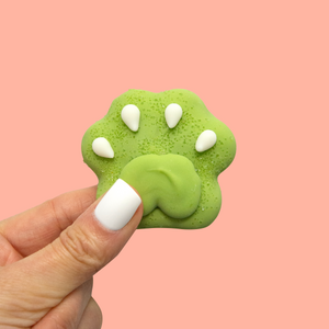 Pucker Pup Paws | Summer Pool Pawty