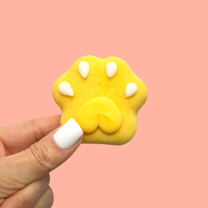 Pucker Pup Paws | Summer Pool Pawty