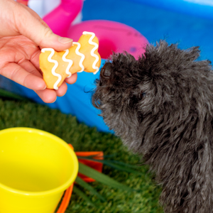 Whirlpool Wavey Bones | Summer Pool Pawty