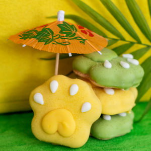 Pucker Pup Paws | Summer Pool Pawty