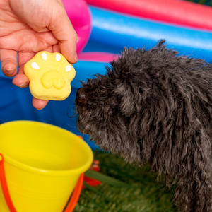 Pucker Pup Paws | Summer Pool Pawty