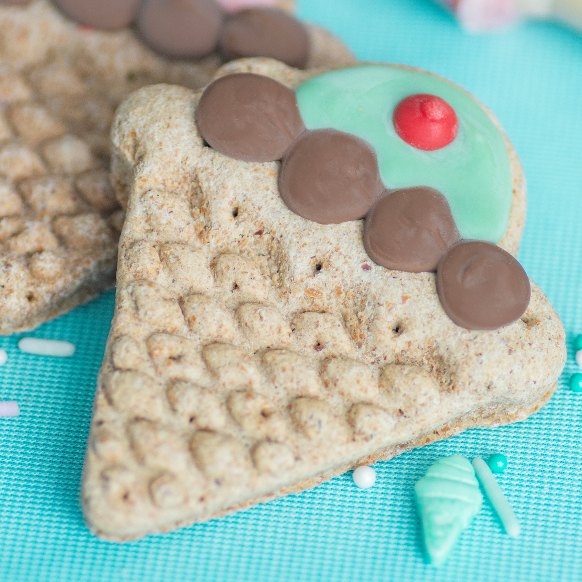 Scooby Scoops | Summer Eats