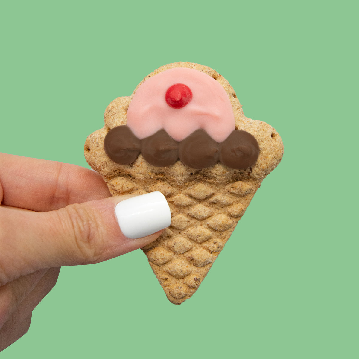 Scooby Scoops | Summer Eats