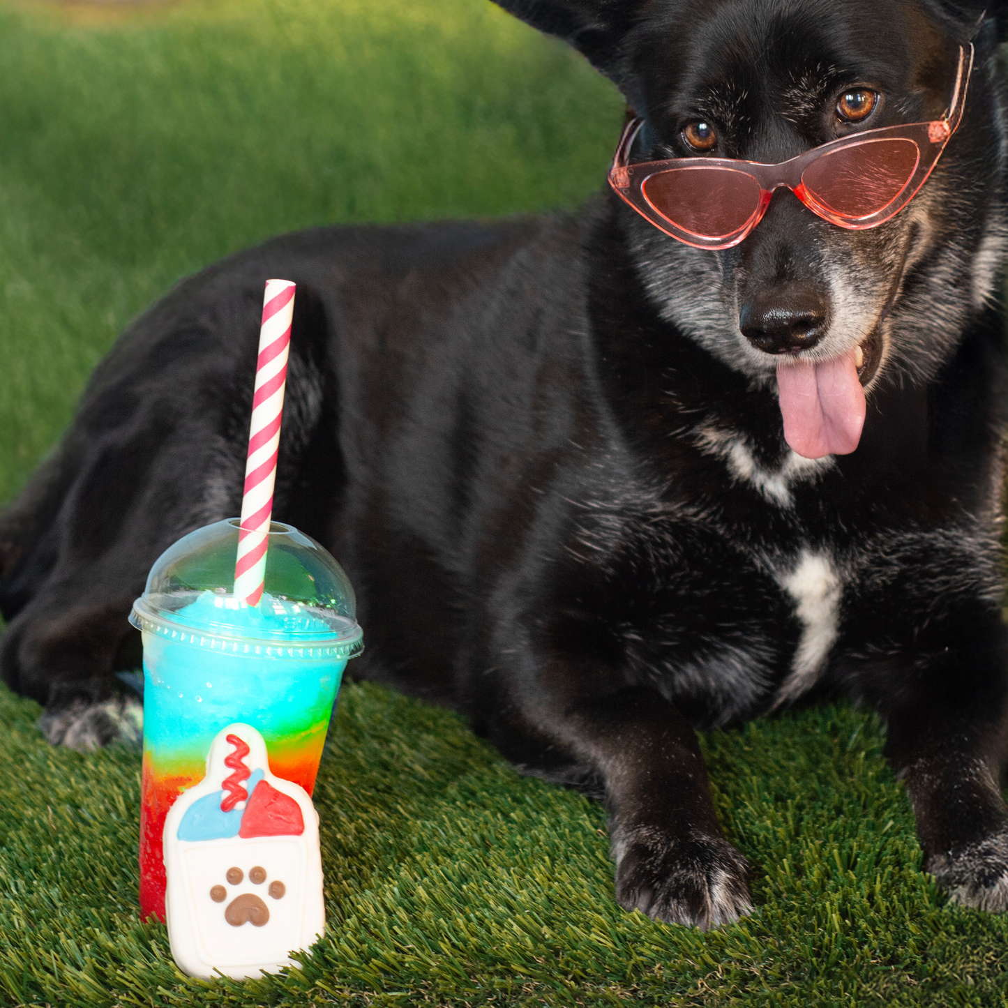 Brain Freeze Blitz | Summer Eats