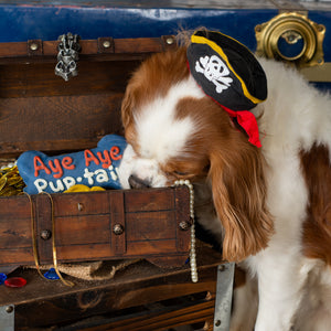 Aye Aye Pup-tain Bone | Summer Pirate