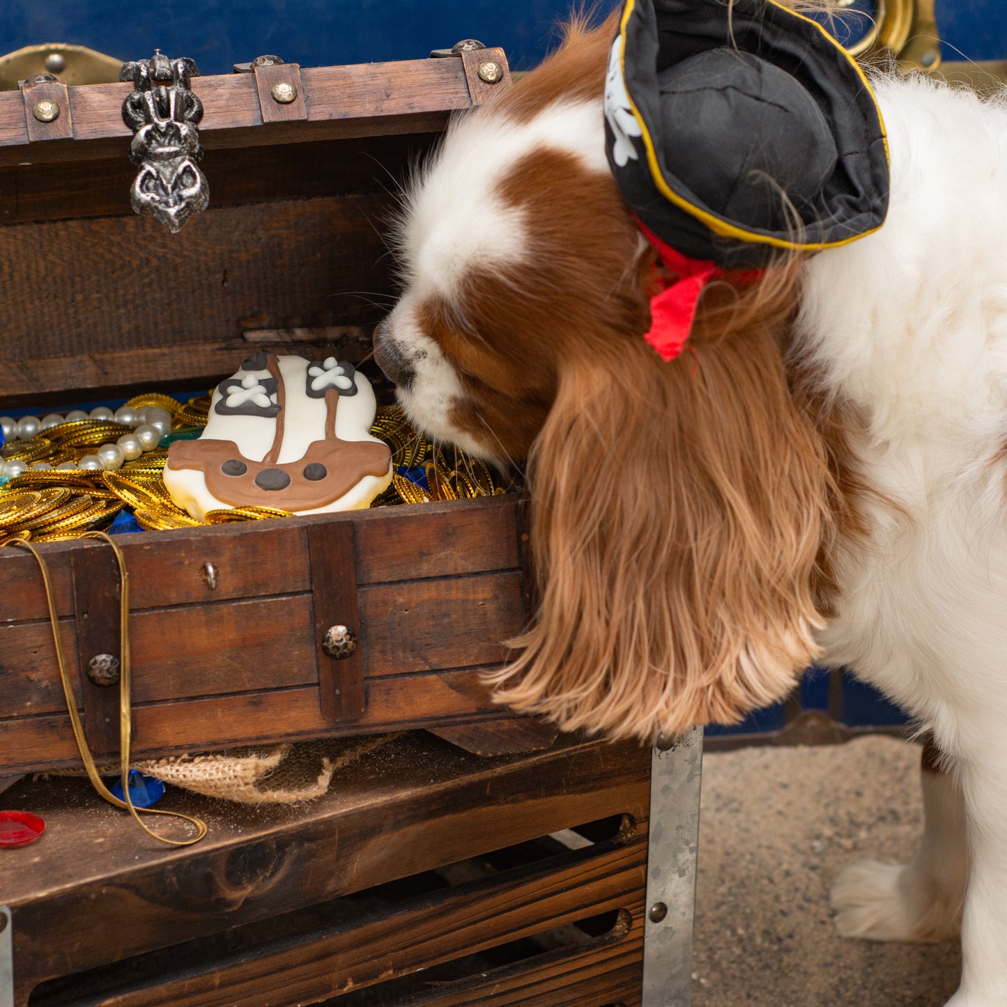 NATURAL Bone Voyage! | Summer Pirate