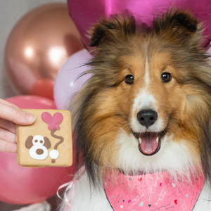 Love Balloon | Love your Pooch