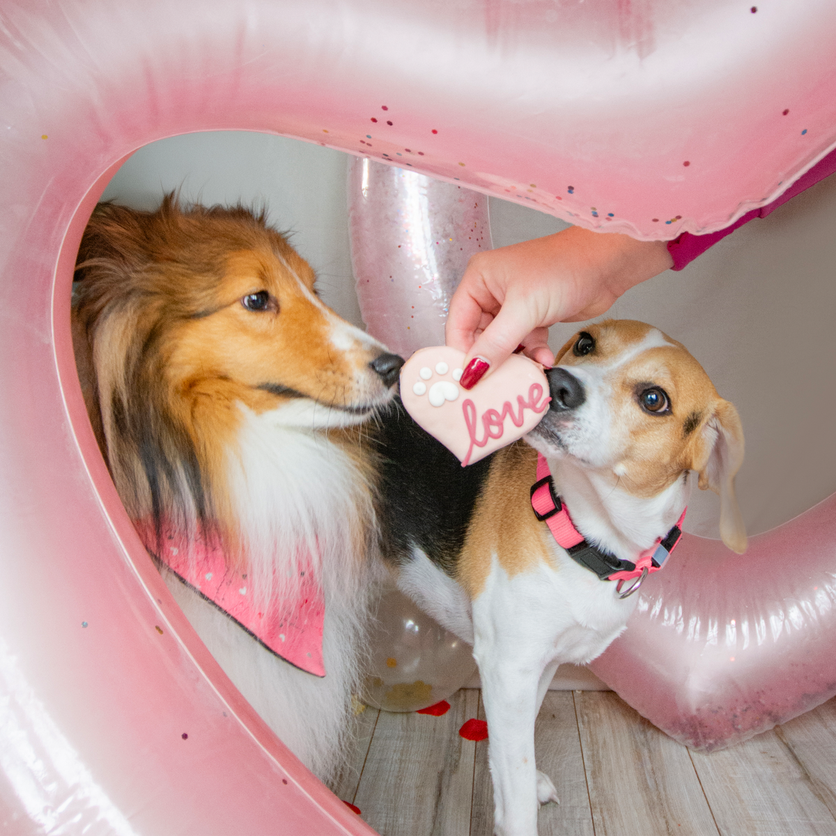 Love Hearts | Love Your Pooch