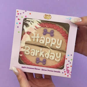 Giant Pink Cake | Birthday